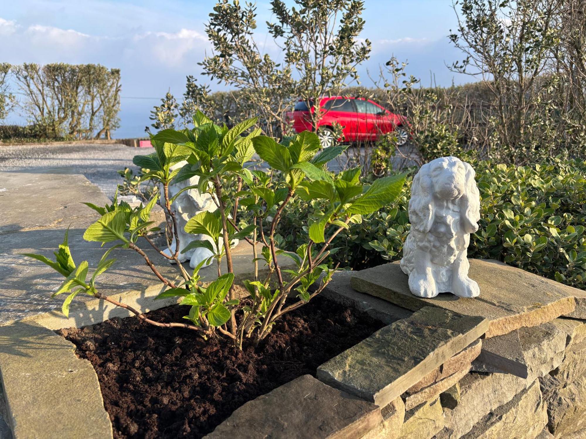 Ocean View Guestrooms Doolin Esterno foto